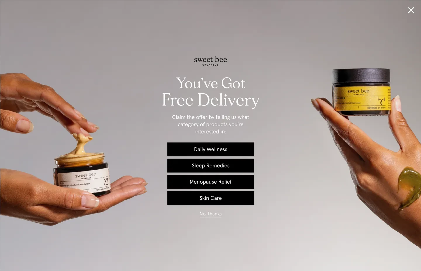 Sweet Bee popup offering free delivery and asking which product category interests the visitor